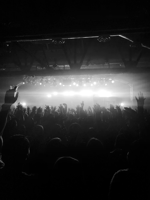 Corechella 4